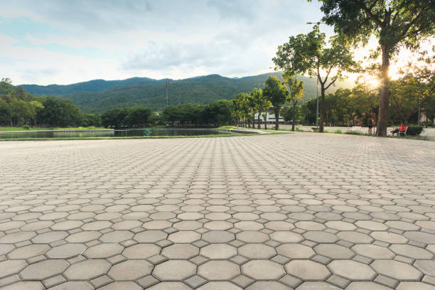 Best Local Driveway Pavers  in Waco, TX